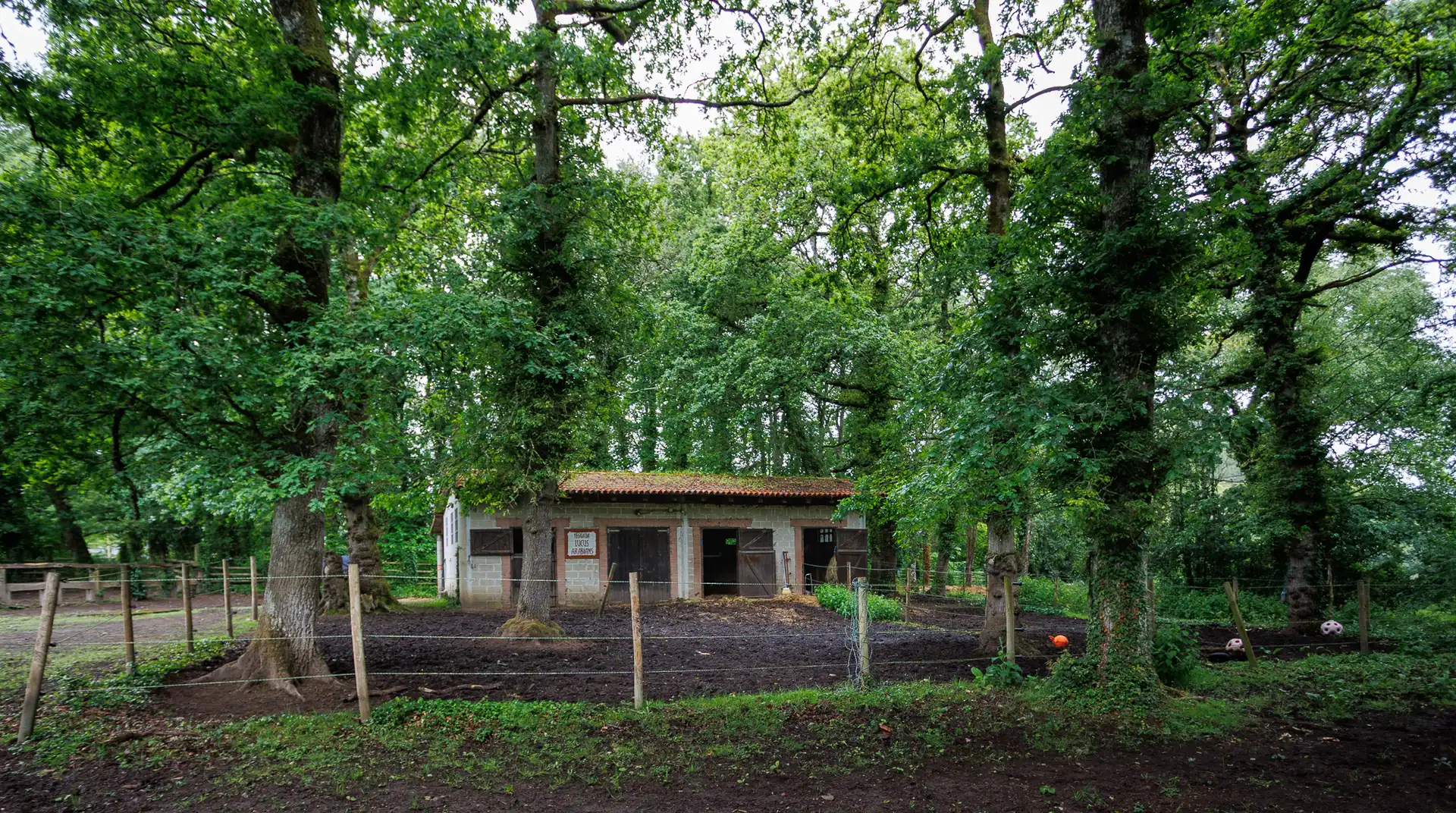 Vista exterior de Finca rústica en venda en Cospeito