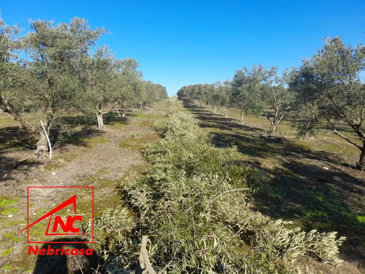 Terreni e lotti in vendita a Lebrija, imagen 16