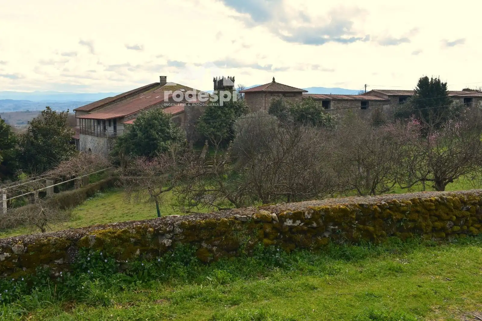 Buildings for sale in Pantón