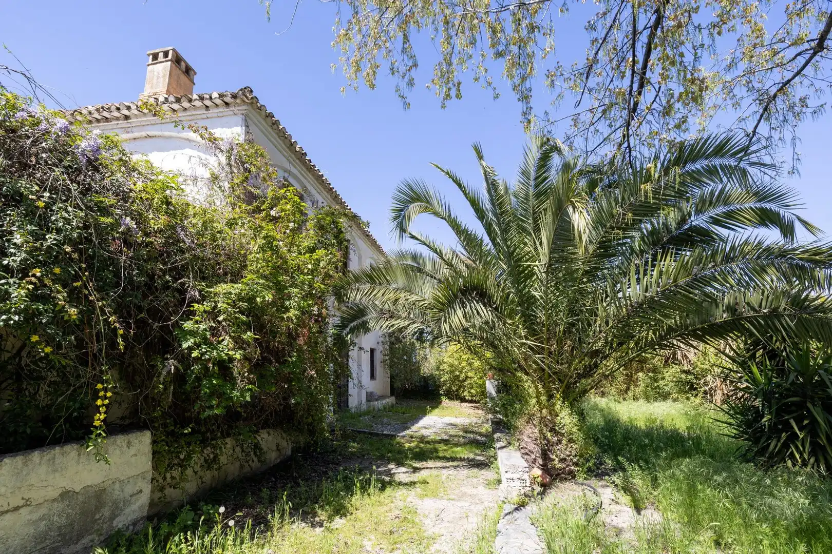 Exterior view of Country homes for sale in Granada  with Private garden, Terrace and Swimming Pool
