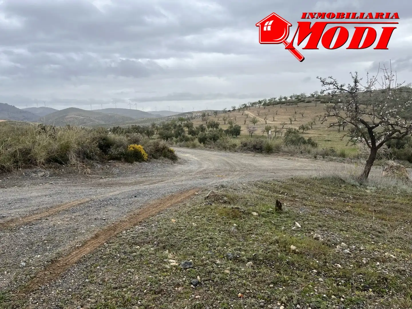 Residencial en venta en Albuñuelas