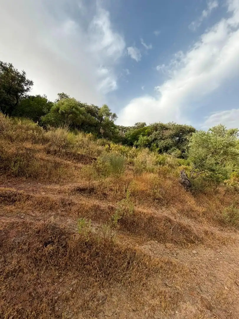 Rural land for sale in Morón de la Frontera, imagen 30