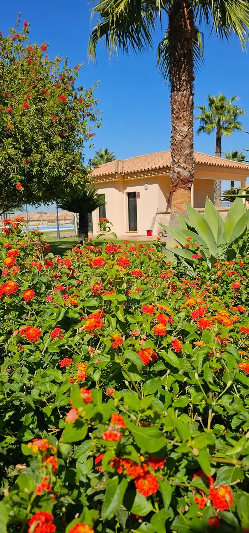 Jardí de Dúplex en venda en Sanlúcar de Barrameda amb Aire condicionat, Calefacció i Jardí privat