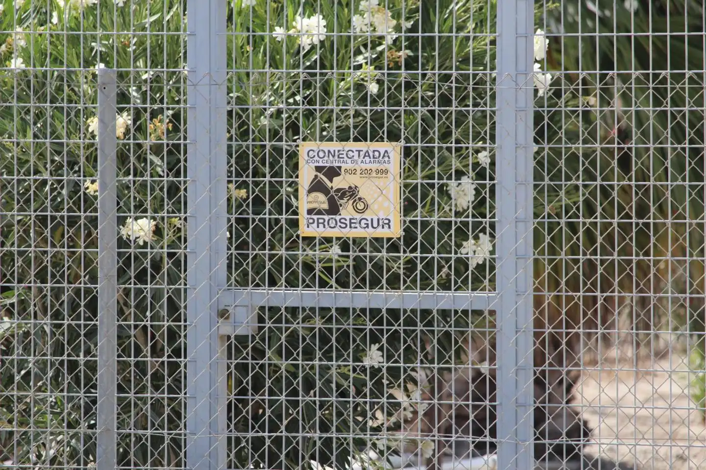 Terreni e lotti in vendita a Vereda del Chapitel, imagen 19