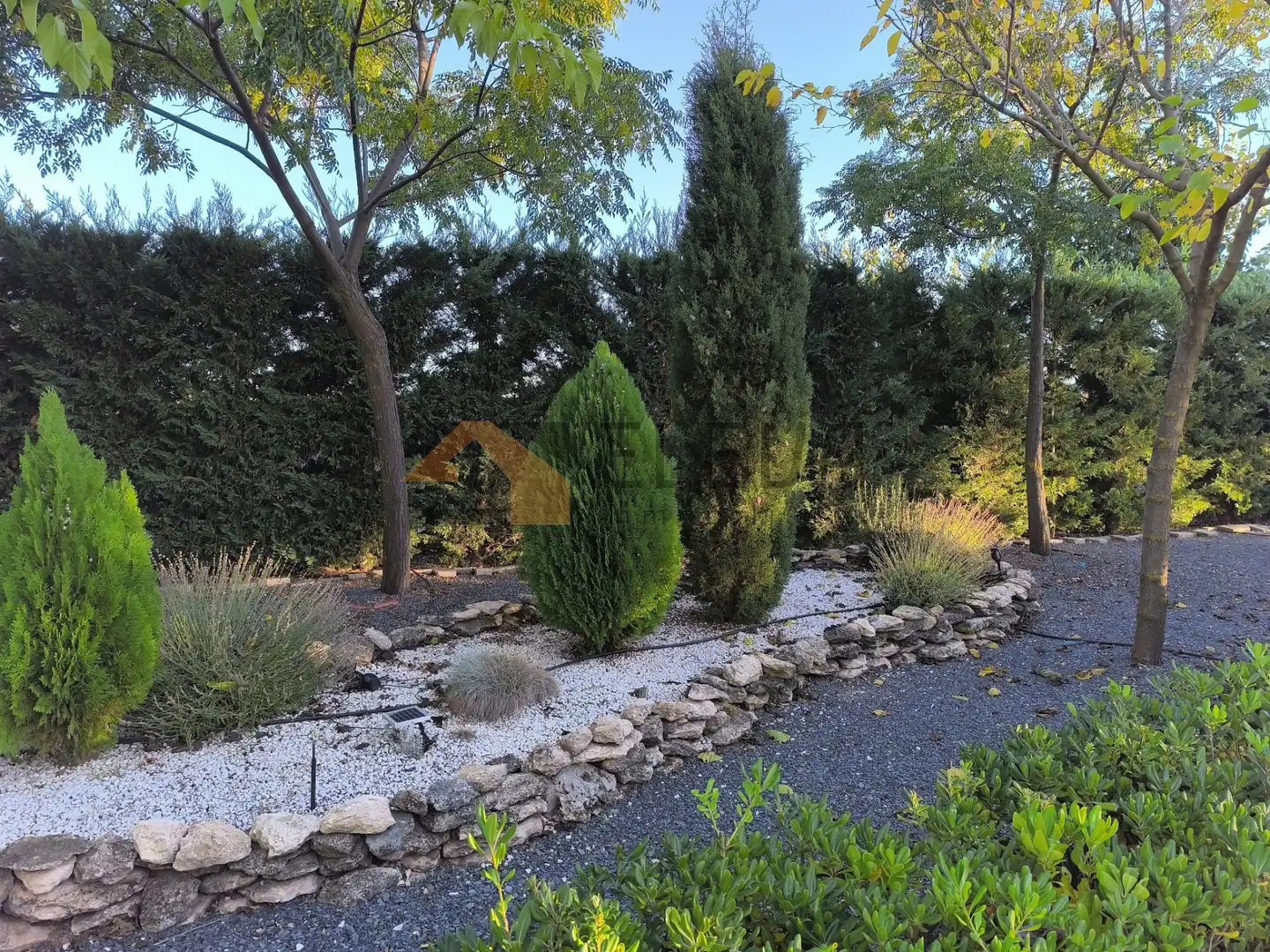 Jardín de Finca rústica en venta en La Roda con Jardín privado