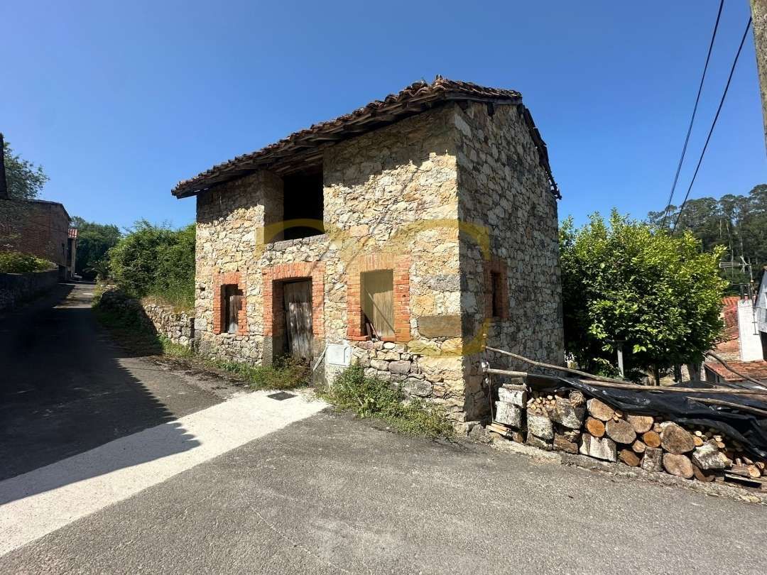Exterior view of House or chalet for sale in Llanes