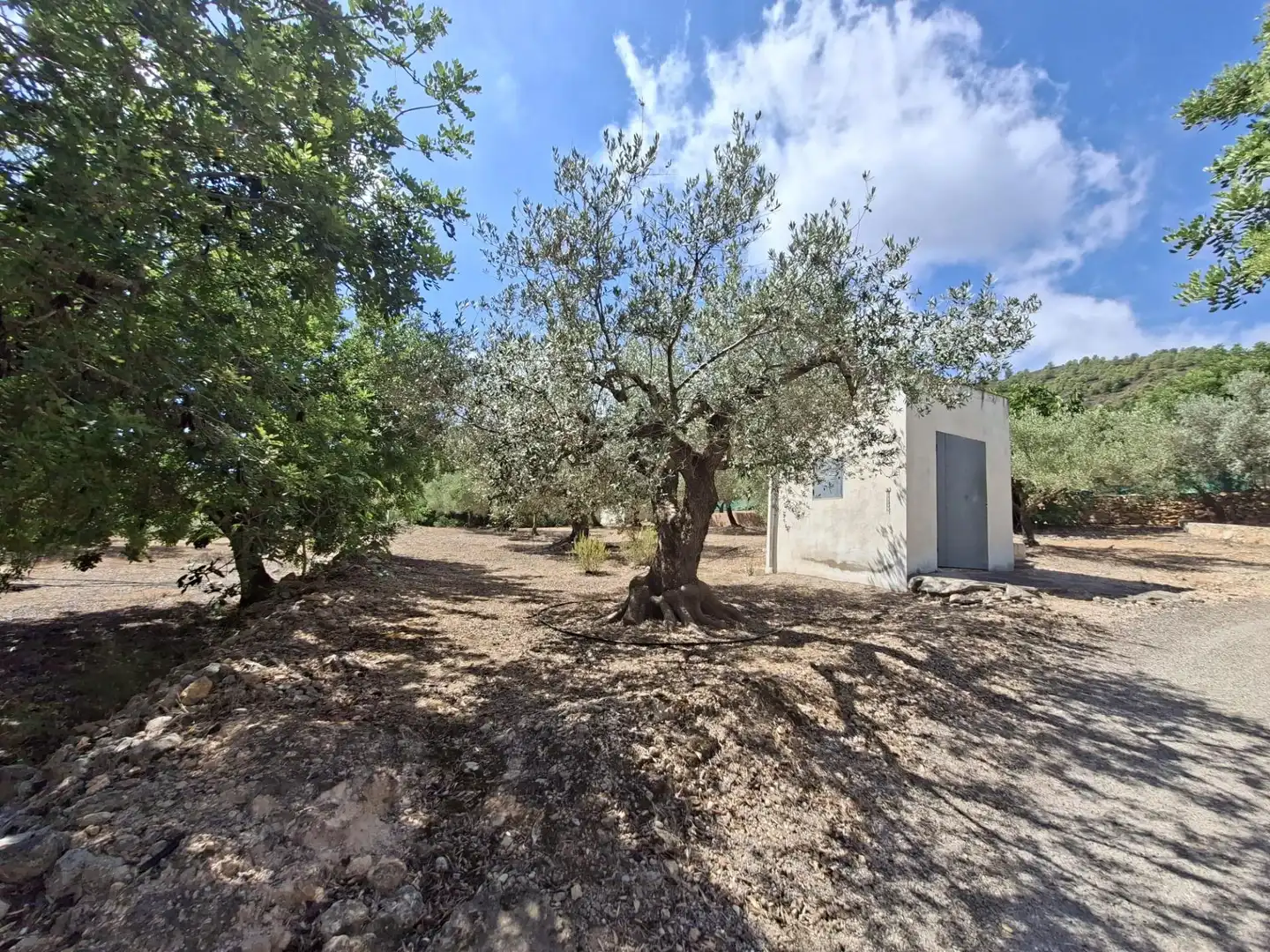 Terreno rustico in vendita a Partida del Mas d'en Civill, imagen 37