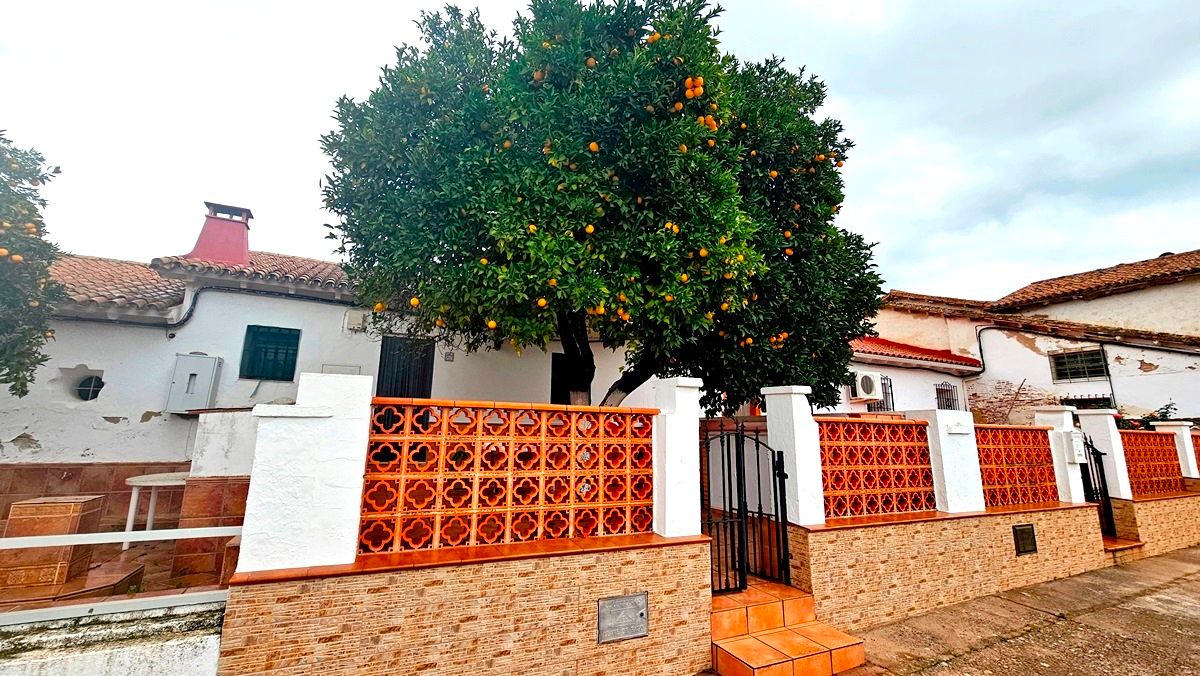 Vista exterior de Casa o xalet en venda en Almonaster la Real amb Moblat