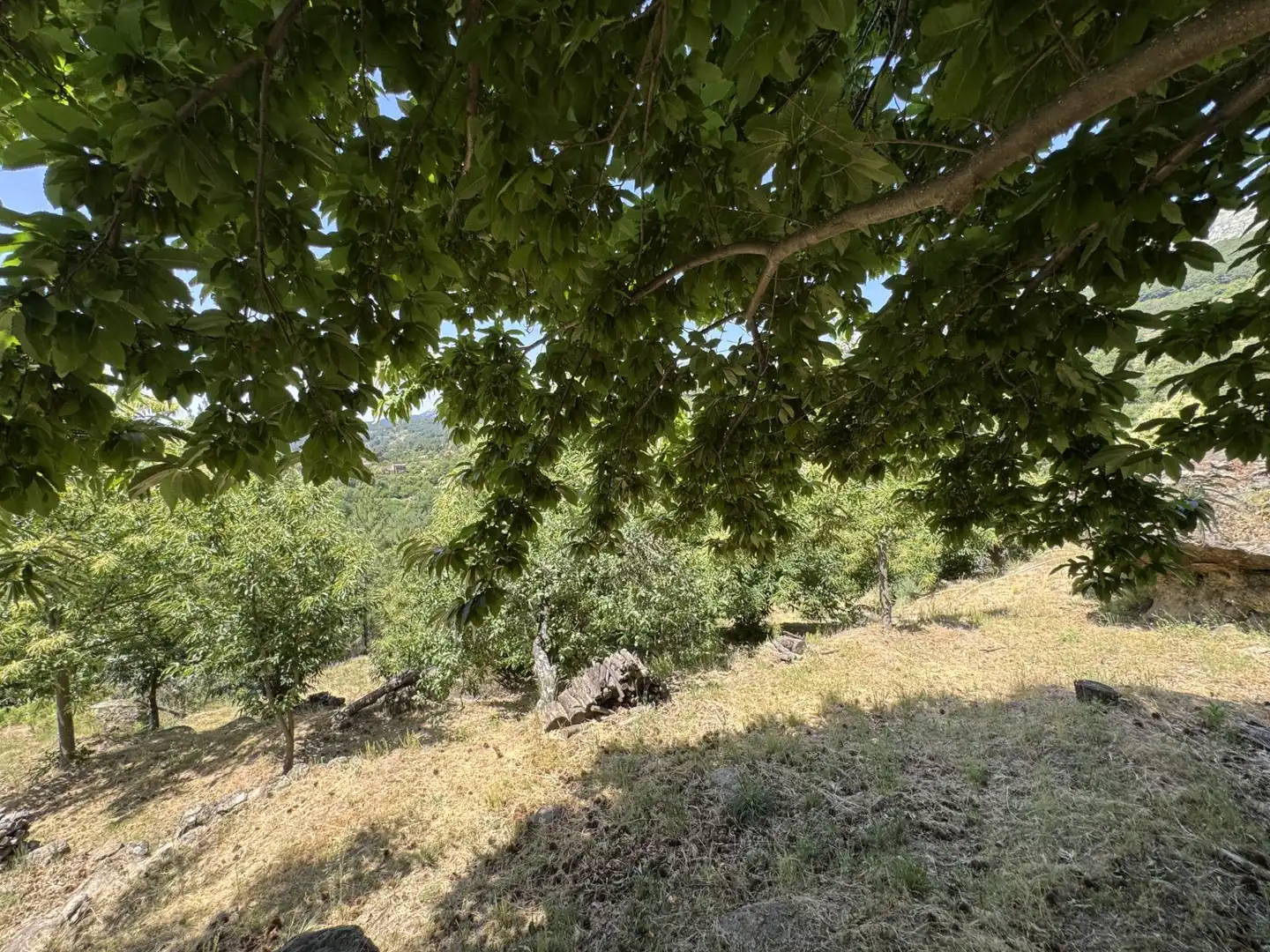 Finca rústica en venta en El Arenal  con Jardín privado