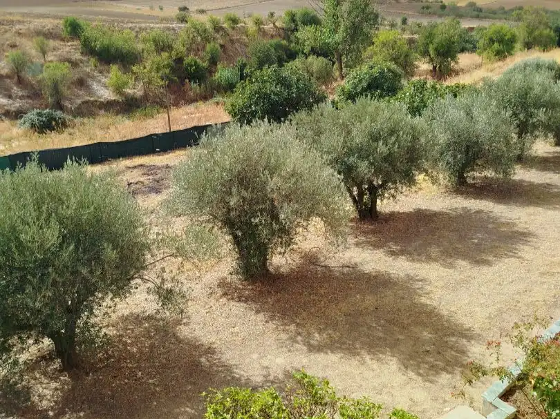 Jardí de Residencial en venda en Palomeque