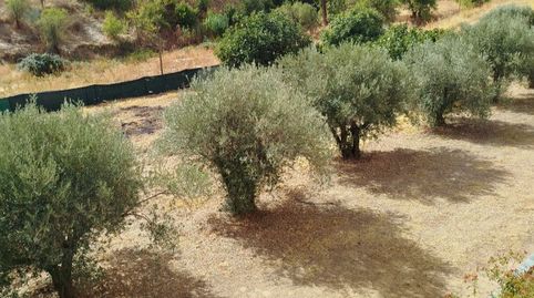 Foto 2 de Residencial en venda a Calle Ancha, 1, Palomeque, Toledo