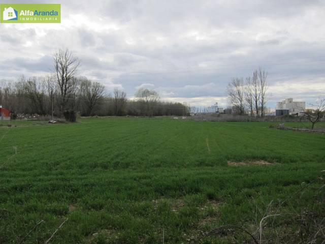 Finca rústica en Venta en Allendeduero