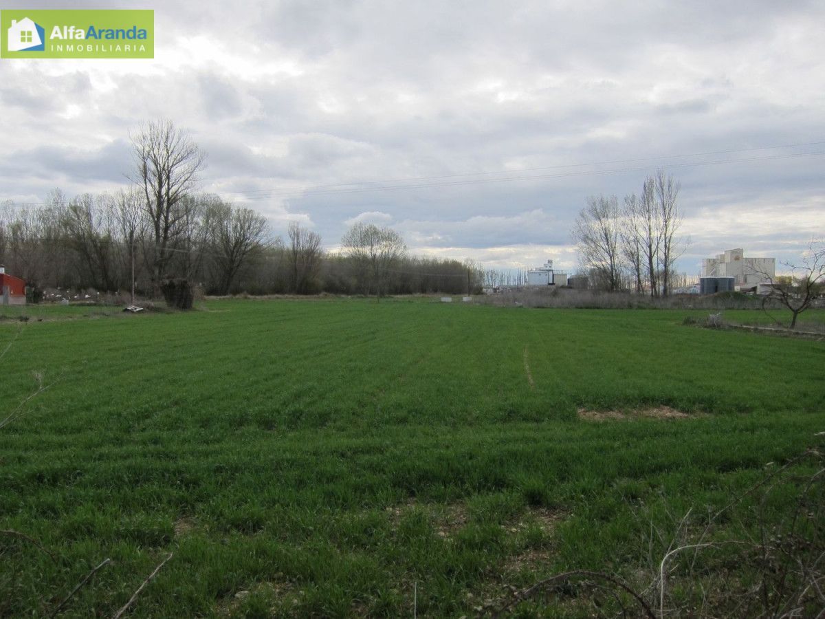 Finca rústica en venda en Aranda de Duero