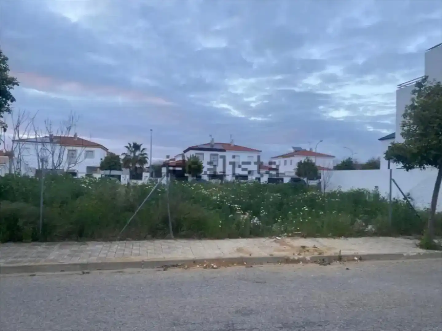 Land for sale in Utrera