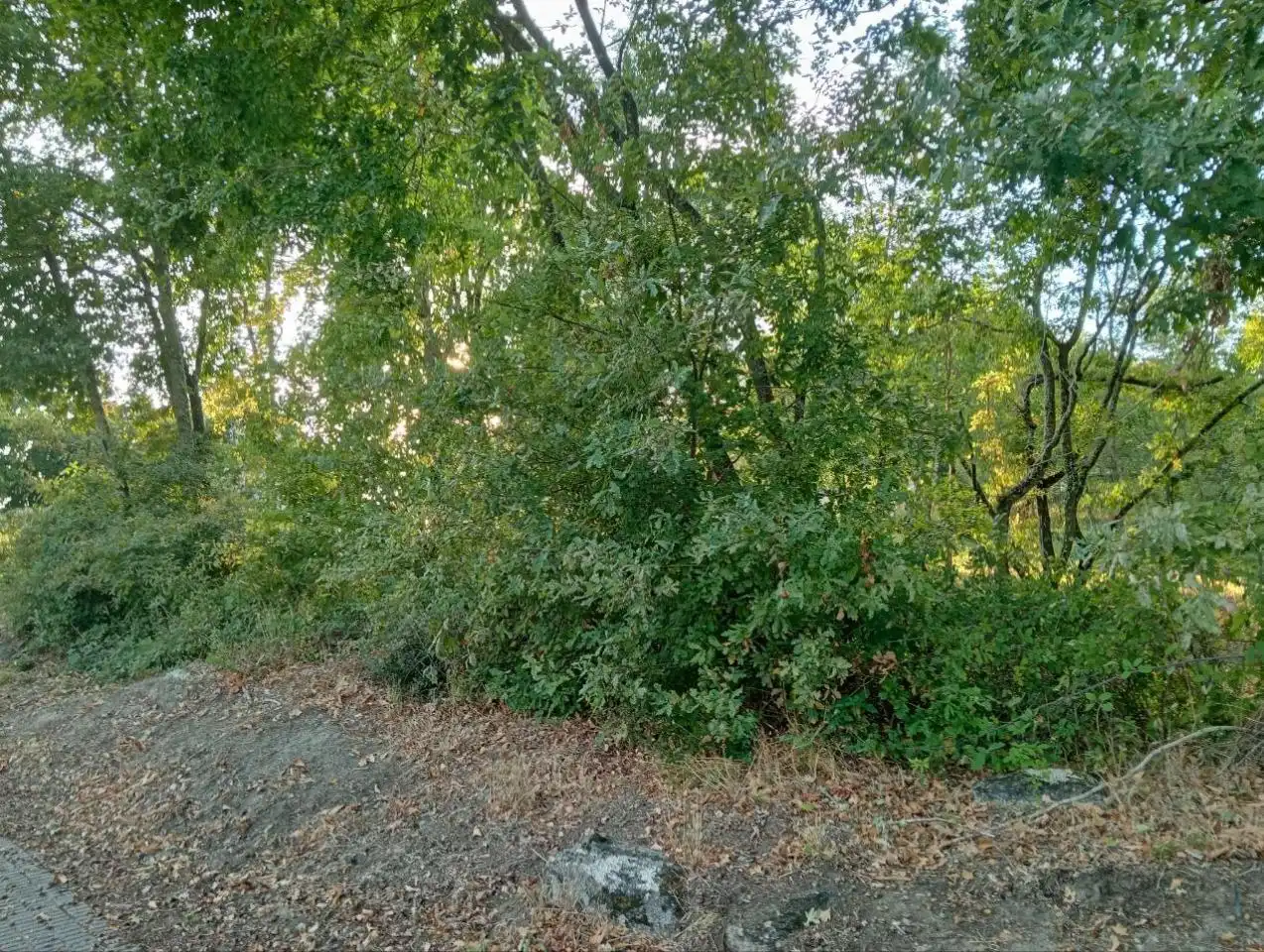 Terreni e lotti in vendita a Nogueira de Ramuín, imagen 4