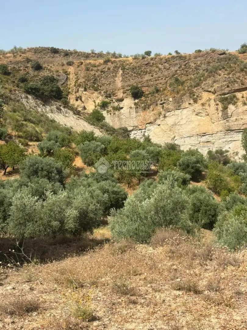 Land for sale in Quéntar