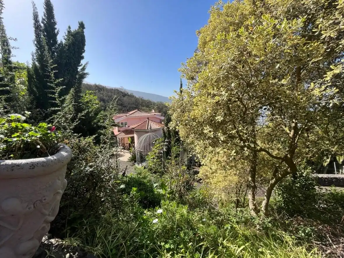 Exterior view of Houses for sale in La Orotava  with Terrace and Sauna