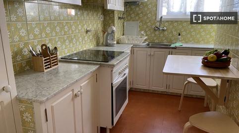 Foto 2 de Apartament per a compartir a Zona Botánico, Puerto de la Cruz