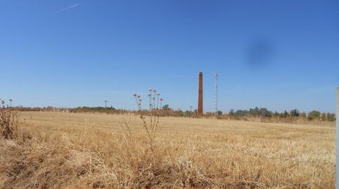 Foto 4 de Terreny en venda a Calle Arrabal Baja, 2, Villamuriel de Campos, Valladolid