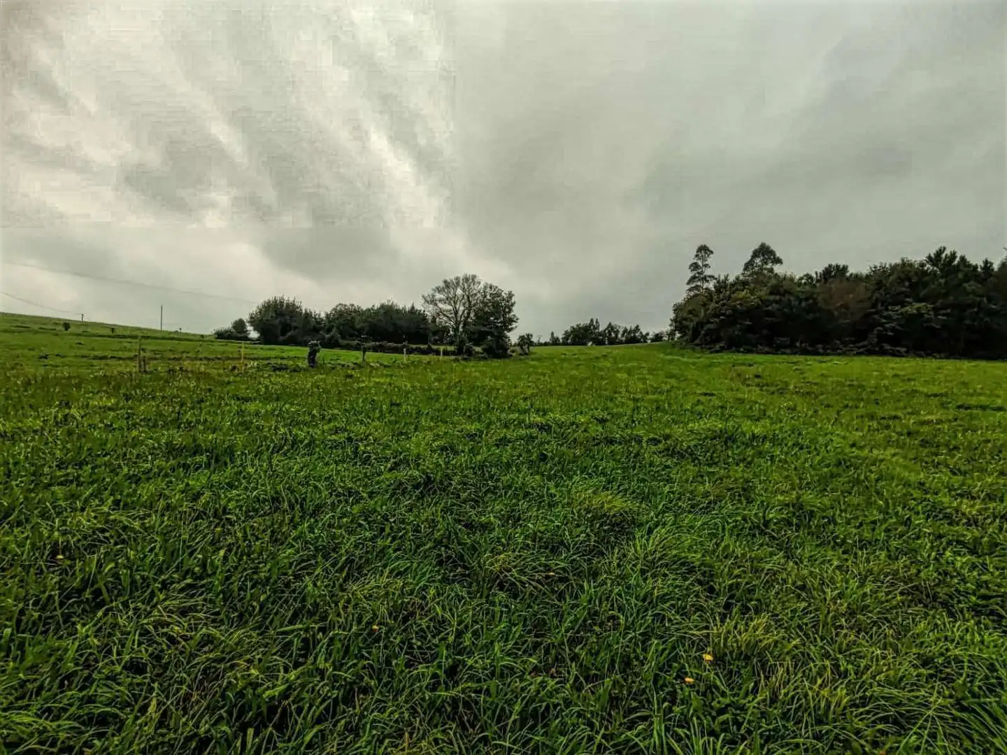 Terreno residencial en venta en bouza, imagen 6