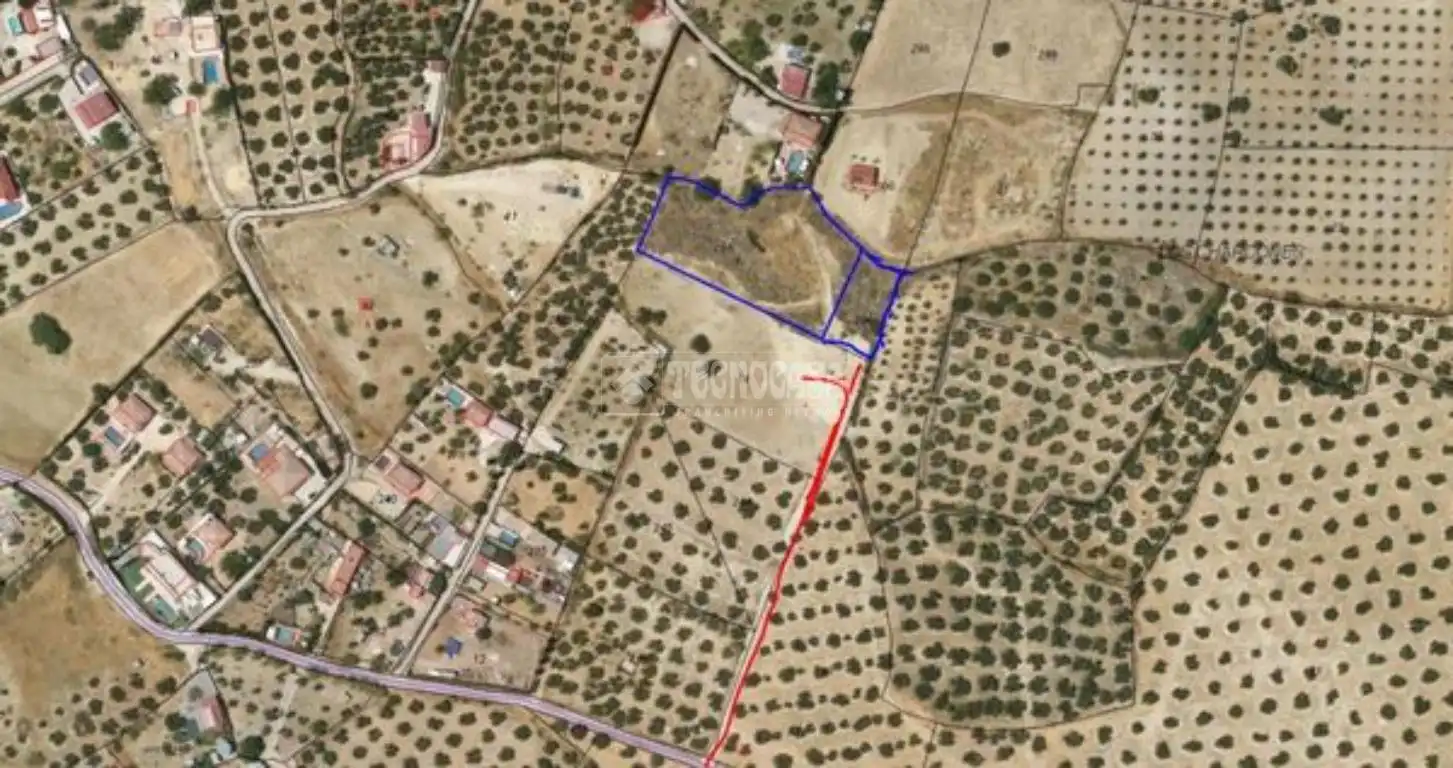 Terreni e lotti in vendita a Martos, imagen 19