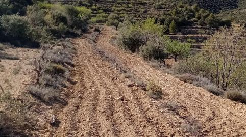 Foto 3 von Grundstücke zum Verkauf in Villores, Castellón