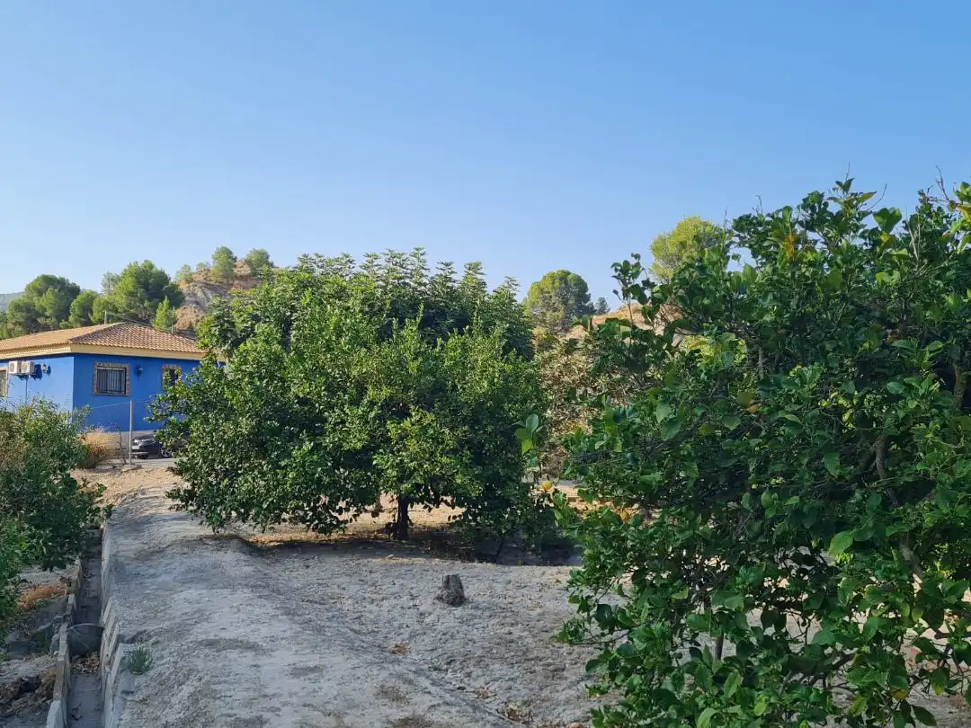 Villa con giardino in vendita a Paraje Saque y Navela 1, imagen 31