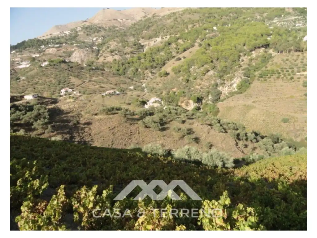 House for sale in Cómpeta, imagen 6