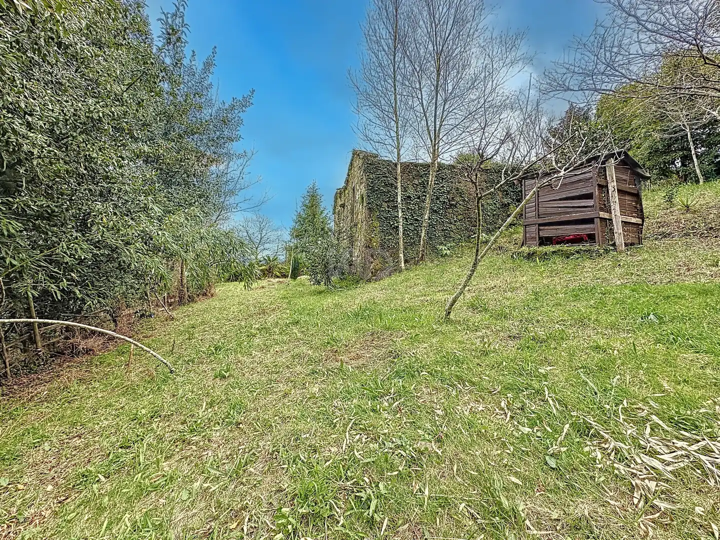 Casa o chalet en venta en Campo Lameiro