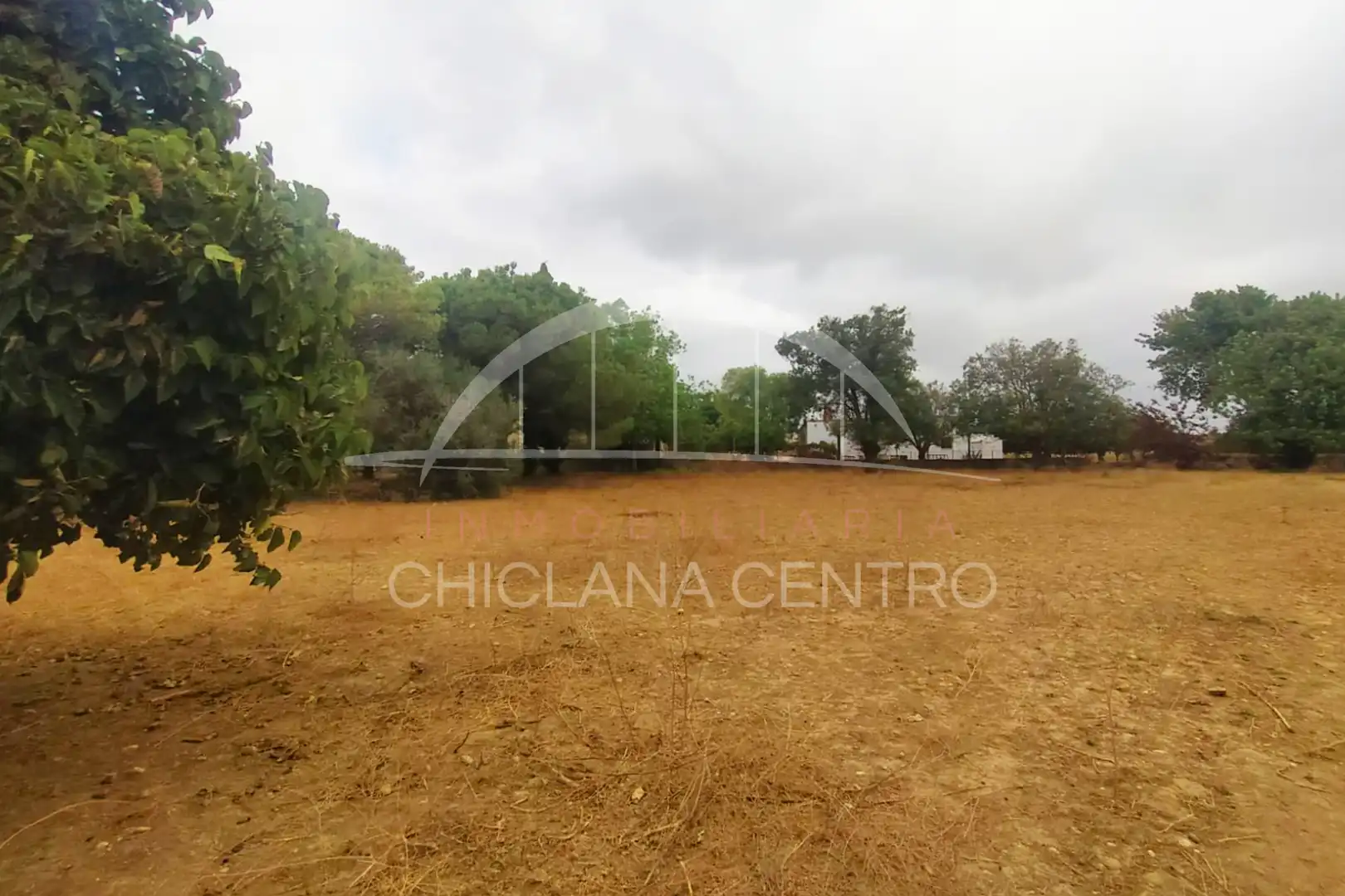 Terrenys i solars en venda a Los Franceses – La Vega, imagen 13