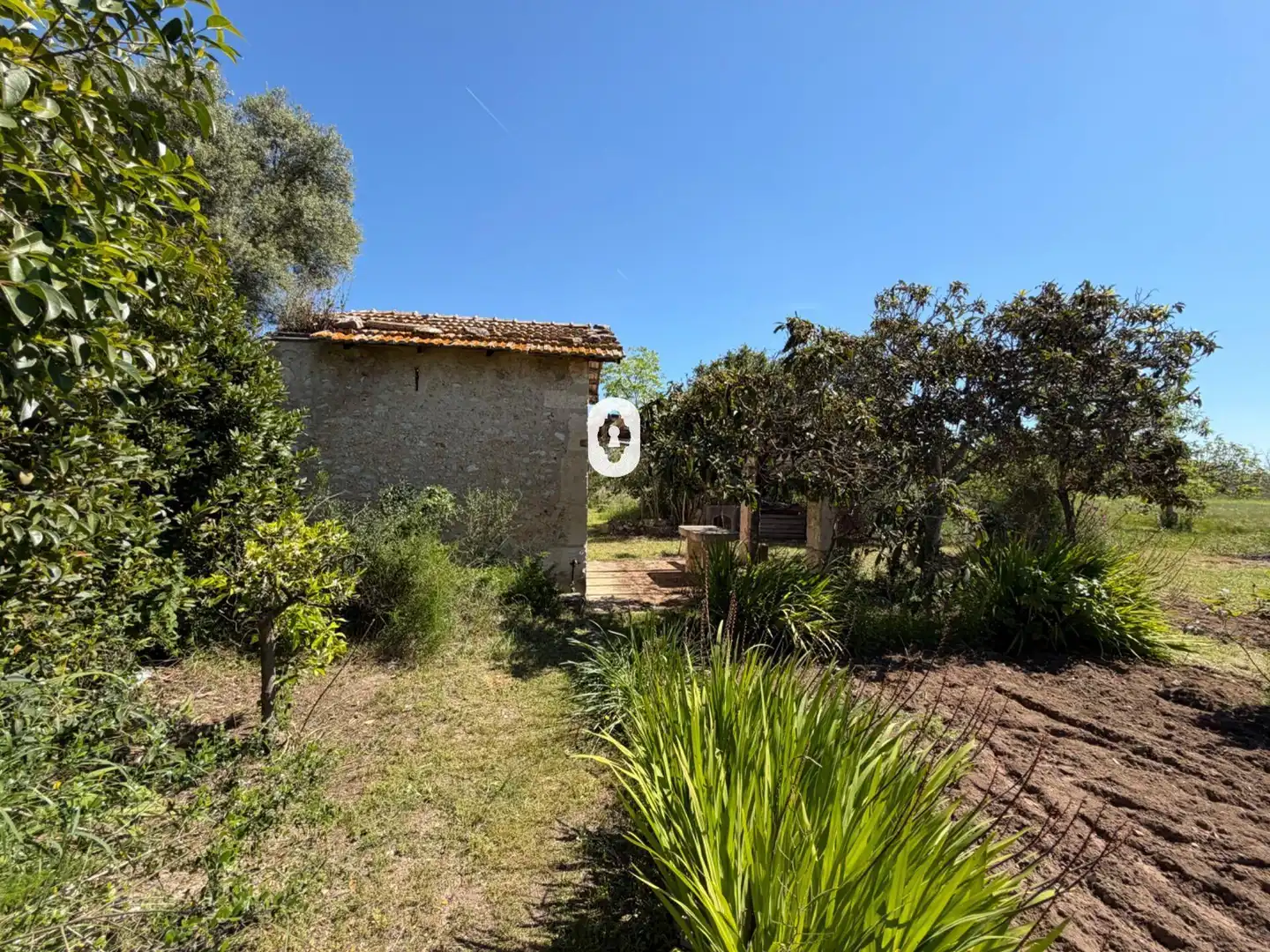 Jardín de Finca rústica en venta en Binissalem