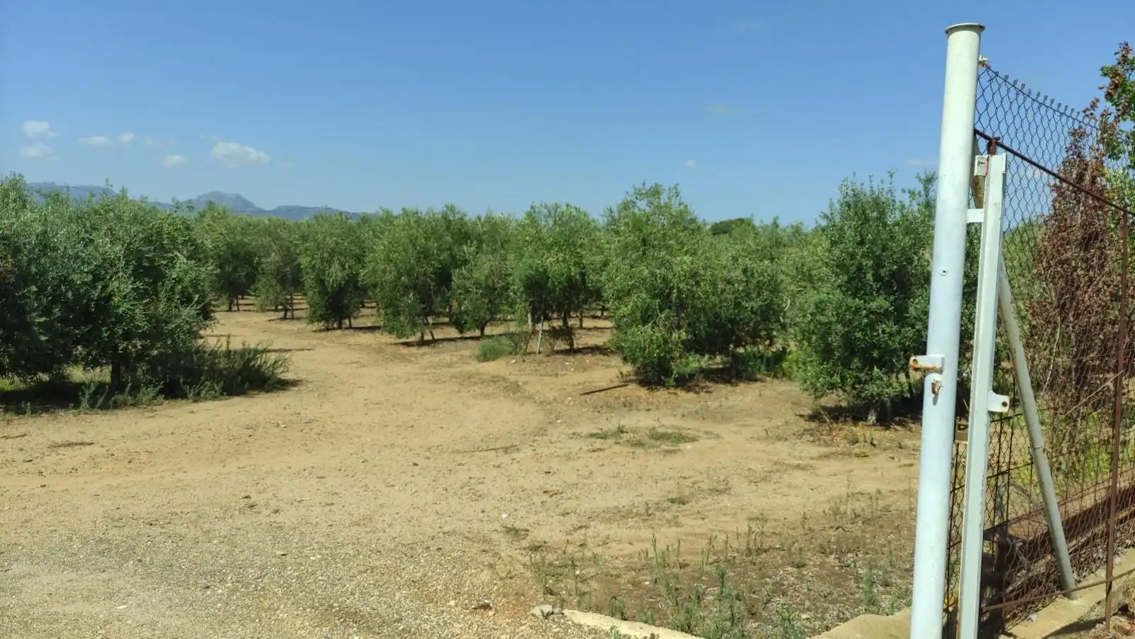 Finca rústica en venta en de les Hortes, Montbrió del Camp