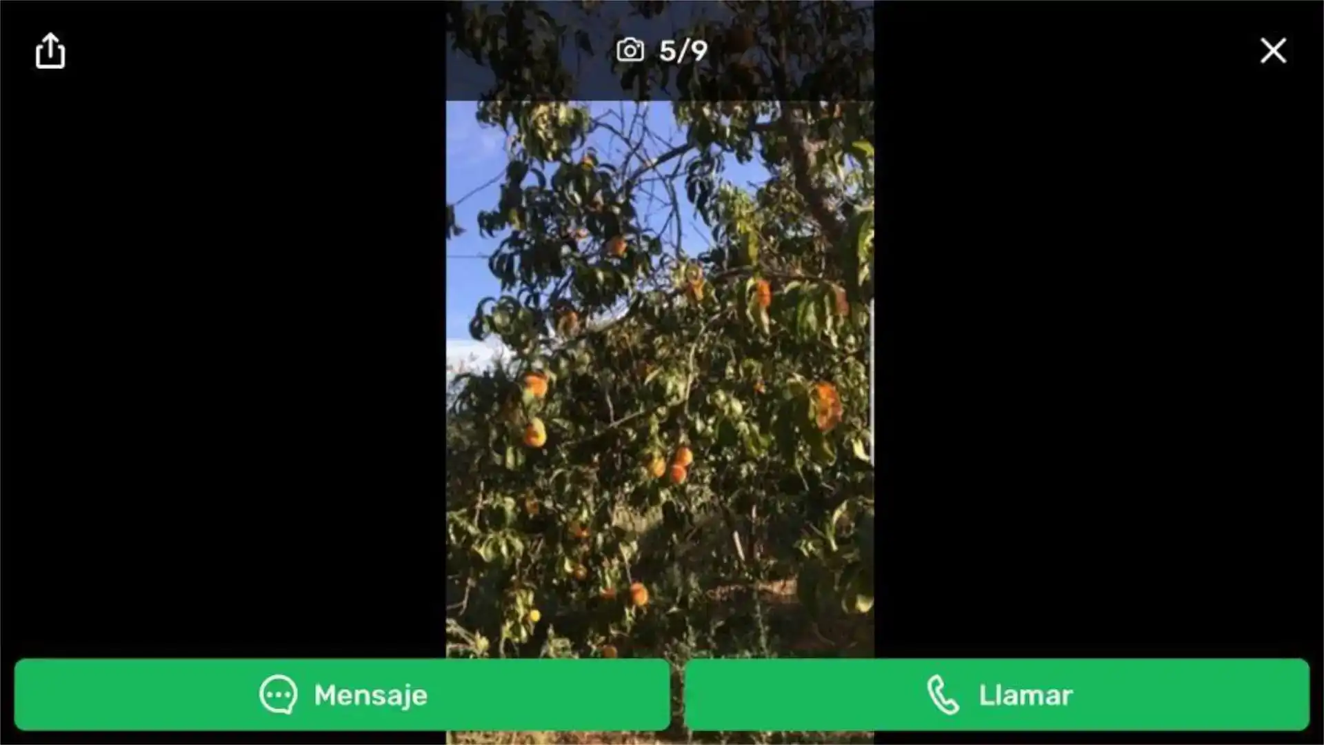 Jardí de Finca rústica en venda en Navahermosa amb Moblat