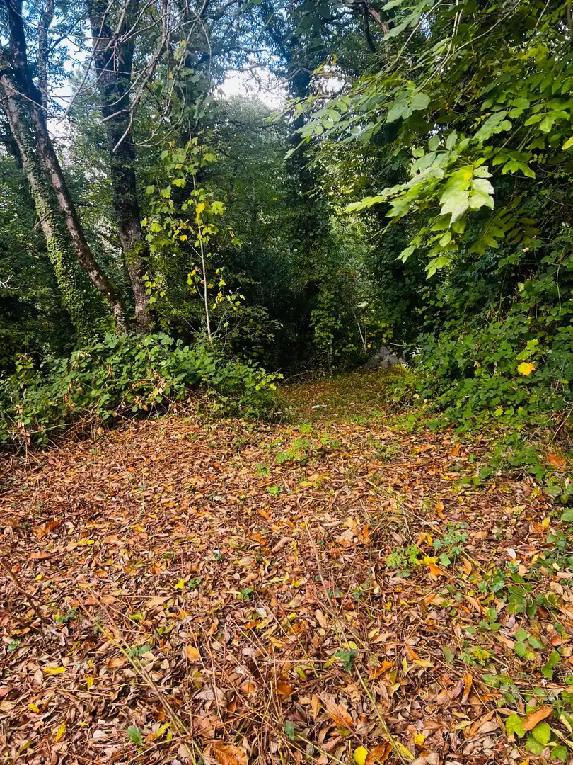 Finca rústica en venta en O Incio , Lugo