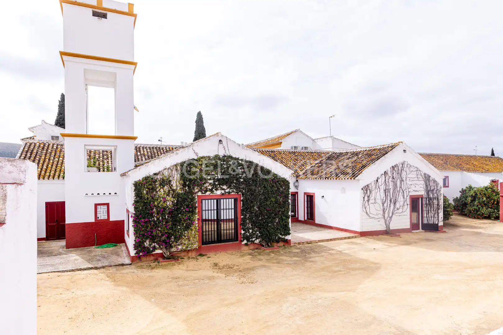 Vista exterior de Casa o chalet en venta en La Puebla de Cazalla con Calefacción, Jardín privado y Terraza