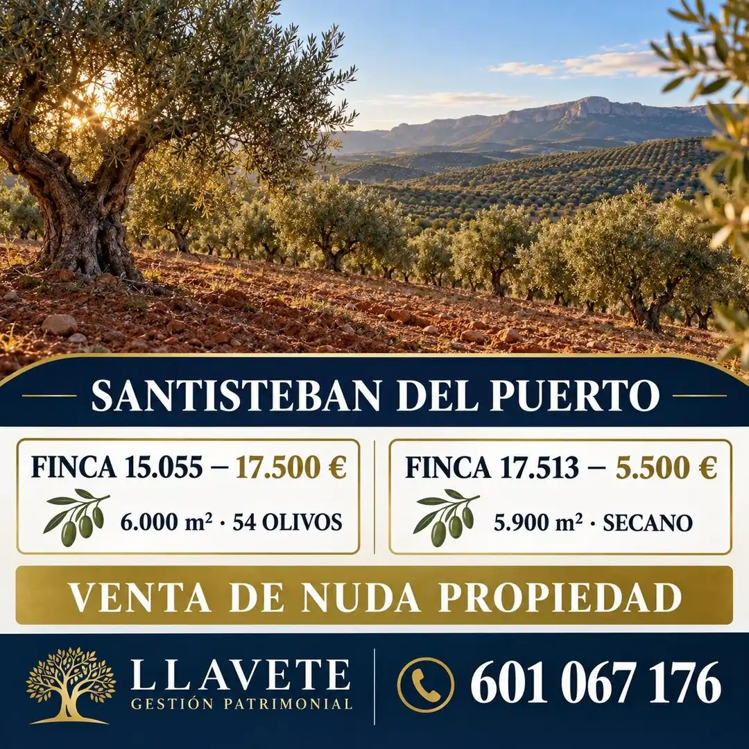 Rural land for sale in Puente Tablas - Puente Nuevo - Cerro Molina, imagen 5