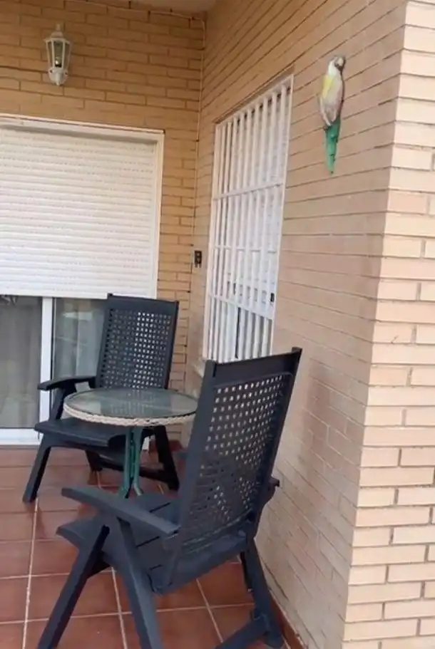 Terraza de Casa o chalet en venta en Águilas con Aire acondicionado, Jardín privado y Terraza