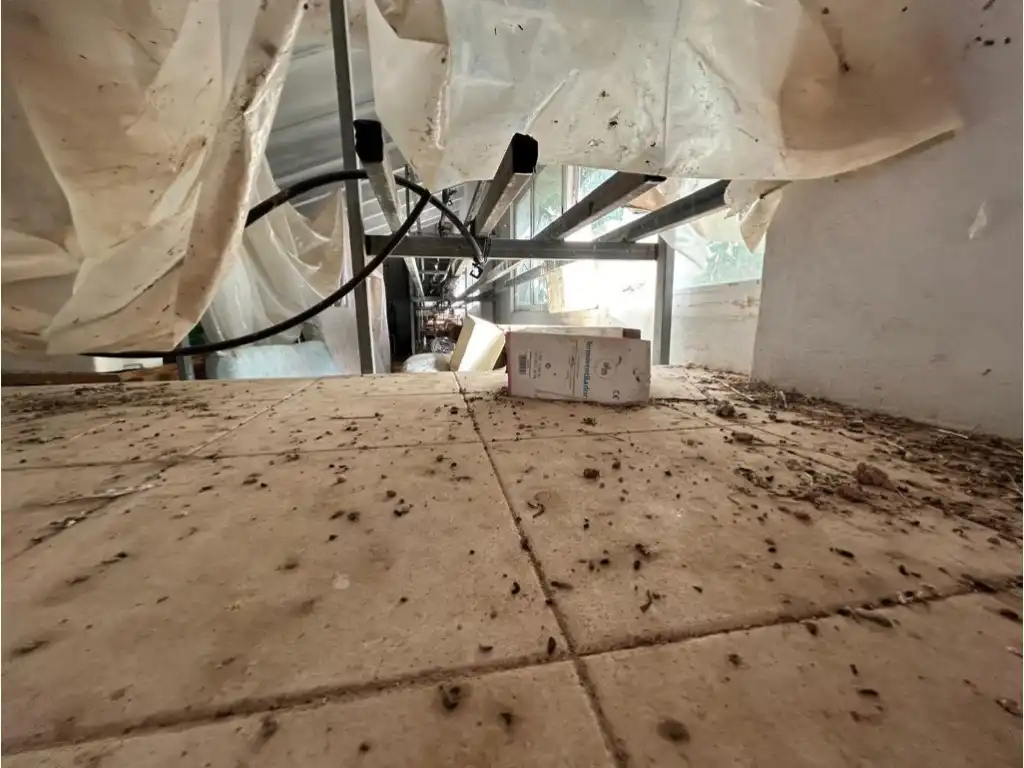 Finca rústica en venta en Altura
