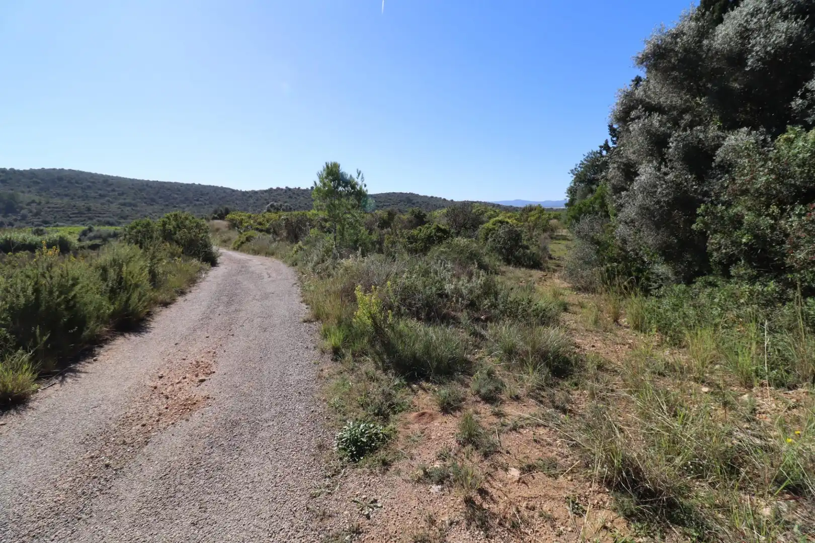 Grundstücke zum Verkauf in Ulldecona