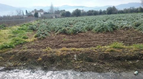 OportUnidad Finca Rústica Pago del Zaidín!!!