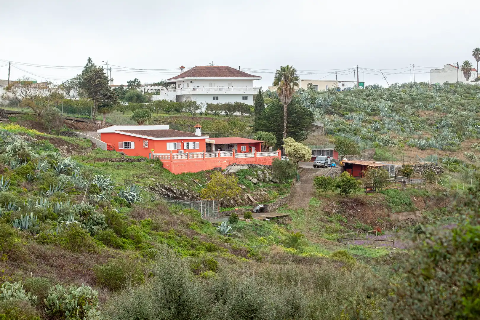 Casa con gran terreno más de 100 árboles frutales, fabulosas vistas y, zonas para animales en San José del Álamo  Teror., imatge 2