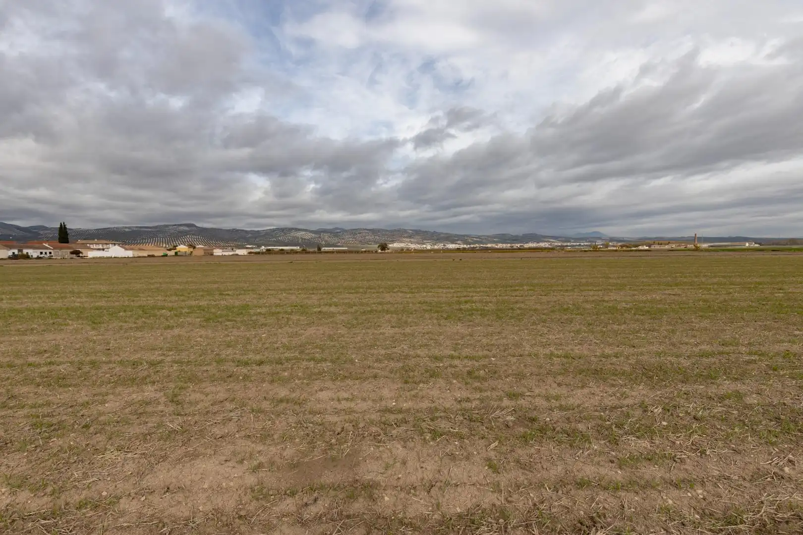 Terrenos y solares en venta en Calle Calle de Sol, imagen 13