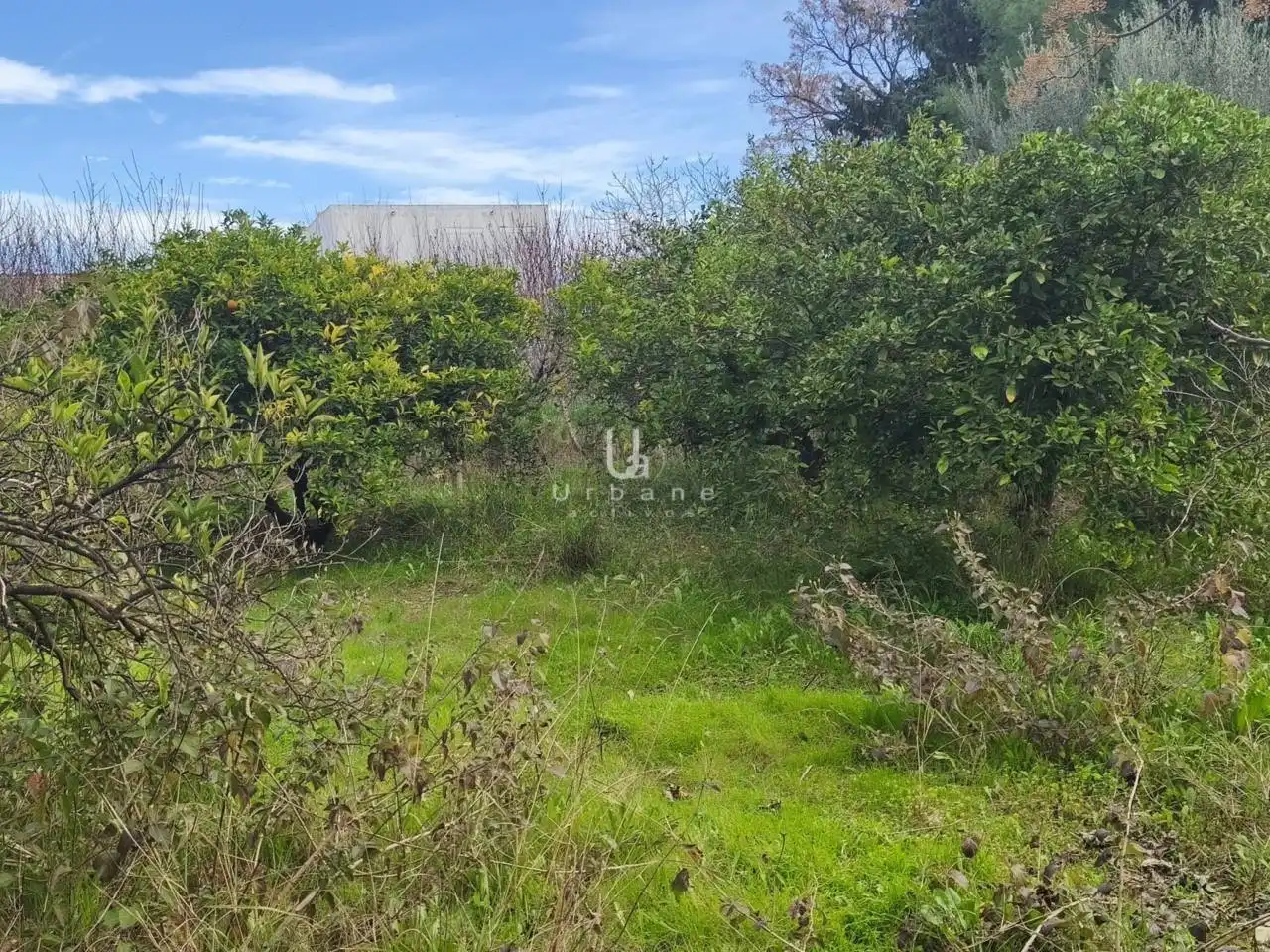 Finca rústica en venta en Murcia con Terraza