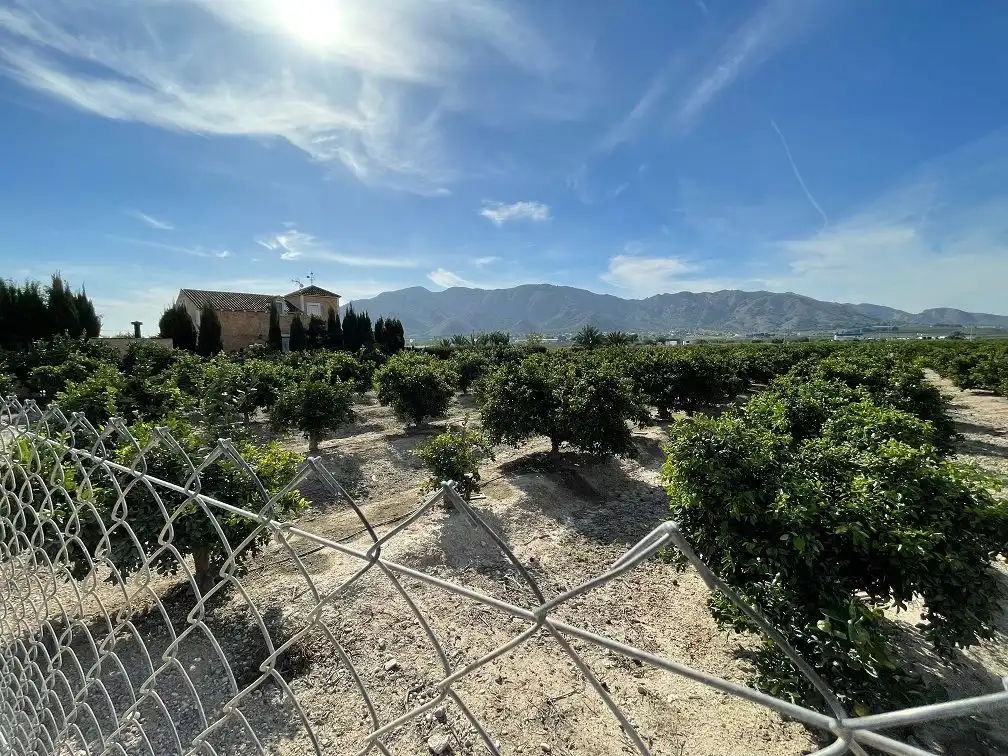Terreno en venta en Redován