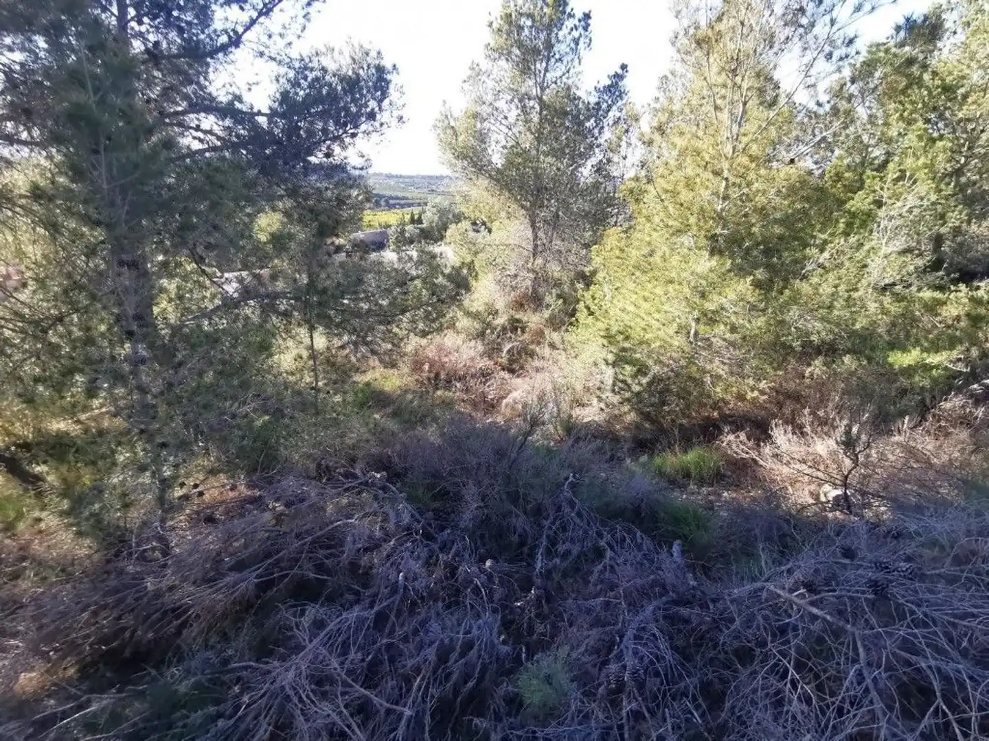 Residencial en venda en Pedralba