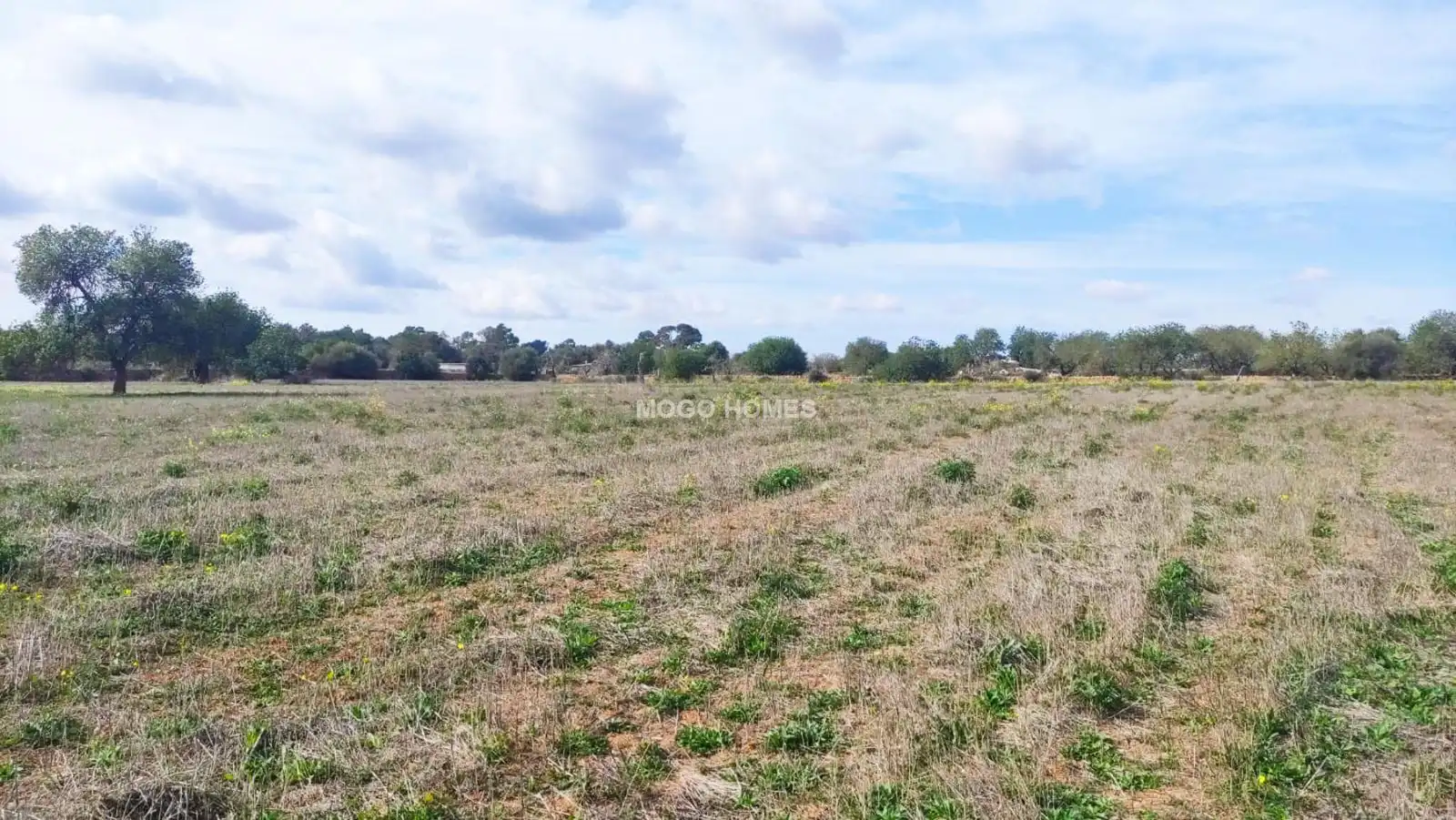 Lands and plots for sale in Llucmajor pueblo, imagen 6