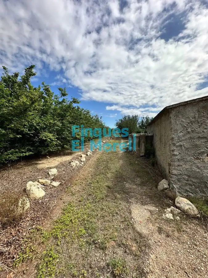 Finca rústica en venta en Vilallonga del Camp