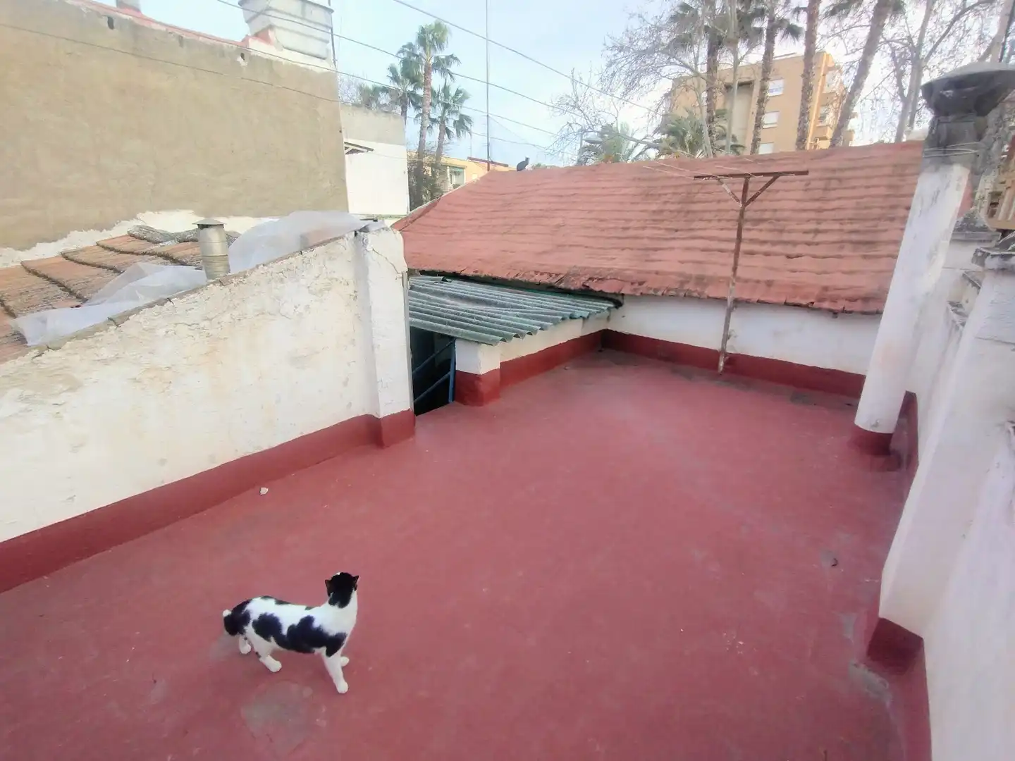 Vista exterior de Casa o chalet en venta en Murcia con Aire acondicionado, Calefacción y Amueblado