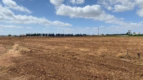 Foto 5 de Residencial en venta en Camí Gran de Son Amer, 15, Sa Pobla, Illes Balears