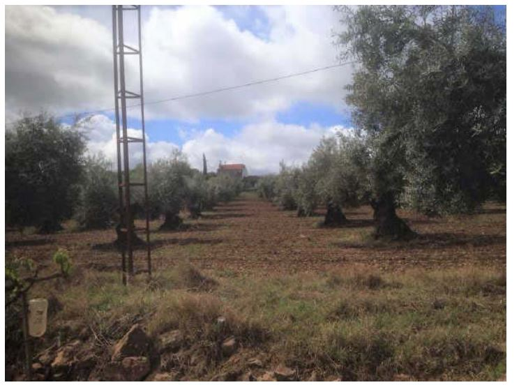 Casa o xalet en venda a Valverde de Leganés